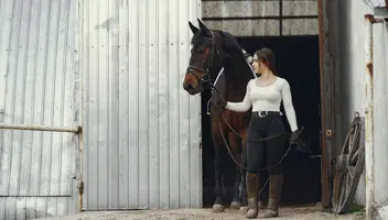 В пошуку моделі для фотосесії з конем