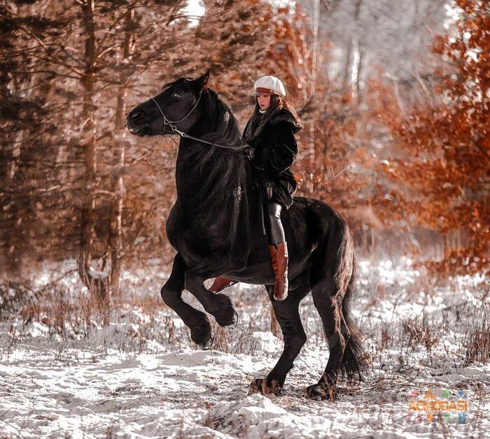 Ляля  Цымбалюк фото №1703147. Завантажено 17 Грудня 2022