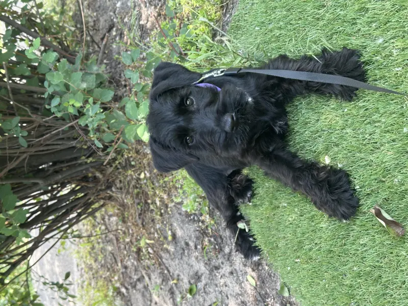 Фото Неймовірна дівчинка 