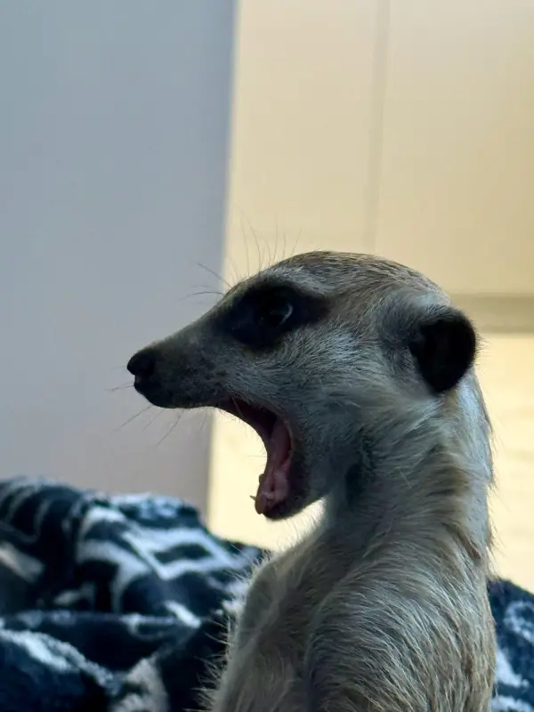 Фото Для зйомок та реклами