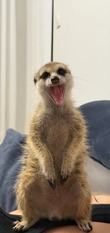 Фото Для зйомок та реклами