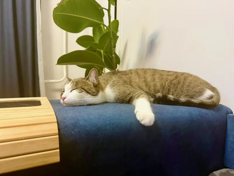 Фото Для реклами і зйомок