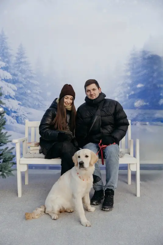 Фото Золотистий ретривер дівчинка щеня для зйомок