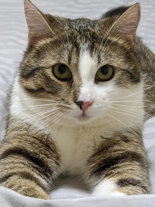 Фото Для реклами і зйомок