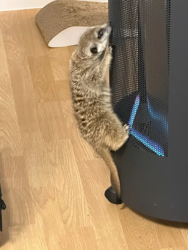 Фото Для зйомок та реклами