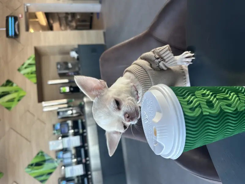 Фото Єва, 5 років для фото-відео зйомок реклами