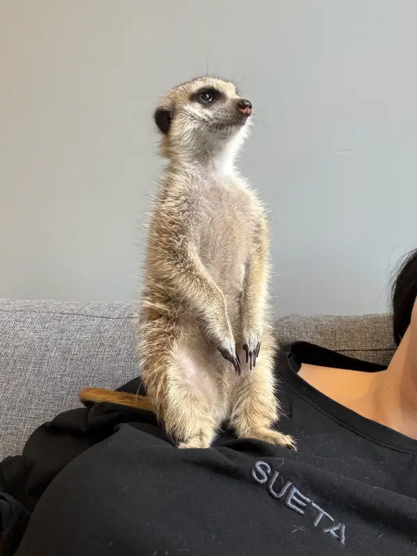 Фото Для зйомок та реклами