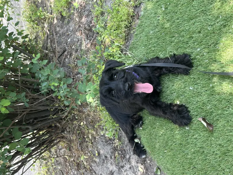 Фото Неймовірна дівчинка 