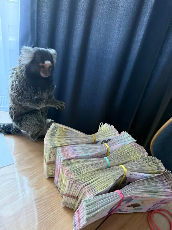 Фото Для зйомок та реклами