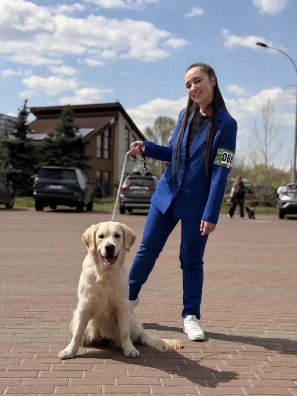 Фото Золотистий ретривер дівчинка для зйомок