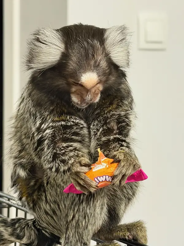 Фото Для зйомок та реклами