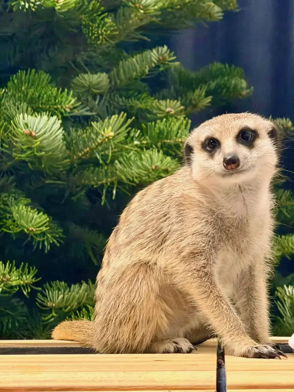 Фото Для зйомок та реклами