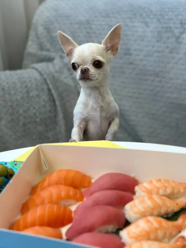 Фото Єва, 5 років для фото-відео зйомок реклами