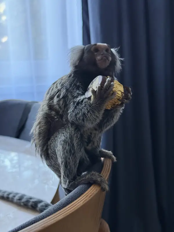 Фото Для зйомок та реклами