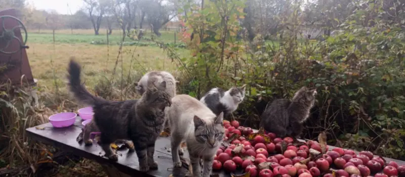 Фото модель Яша