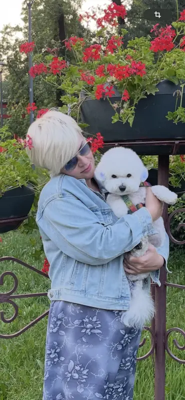 Фото Адель, порода Бішон Фрізе, дівчинка 2,5 року, для фото-відео-рекламних зйомок