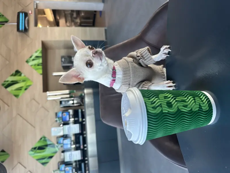 Фото Єва, 5 років для фото-відео зйомок реклами